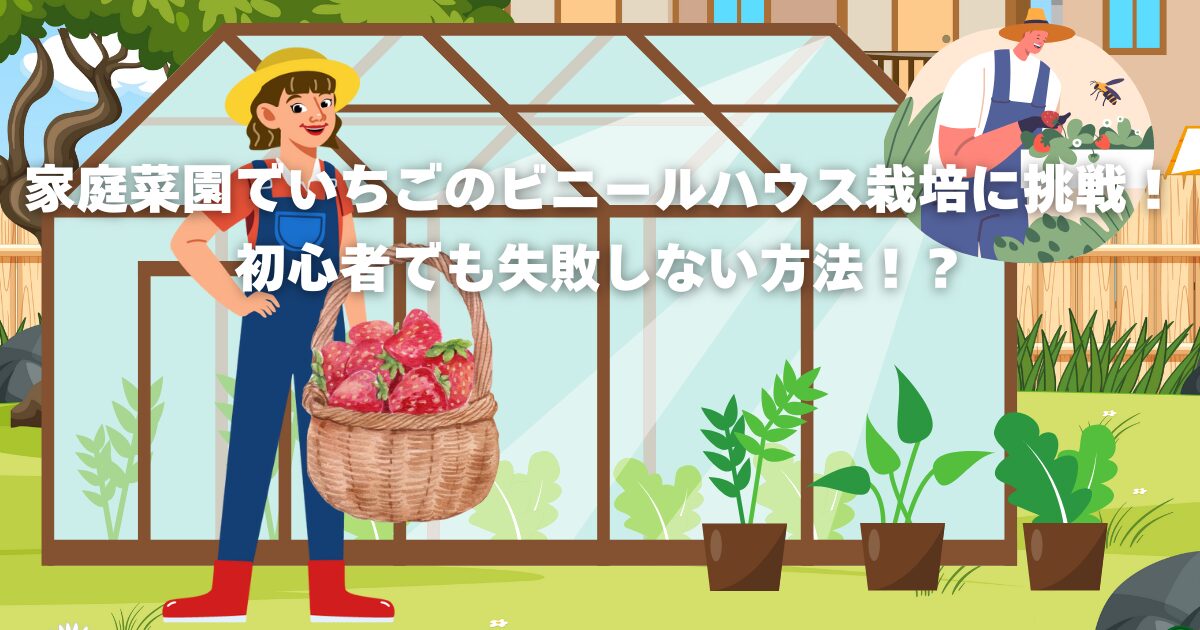 家庭菜園でいちごのビニールハウス栽培に挑戦