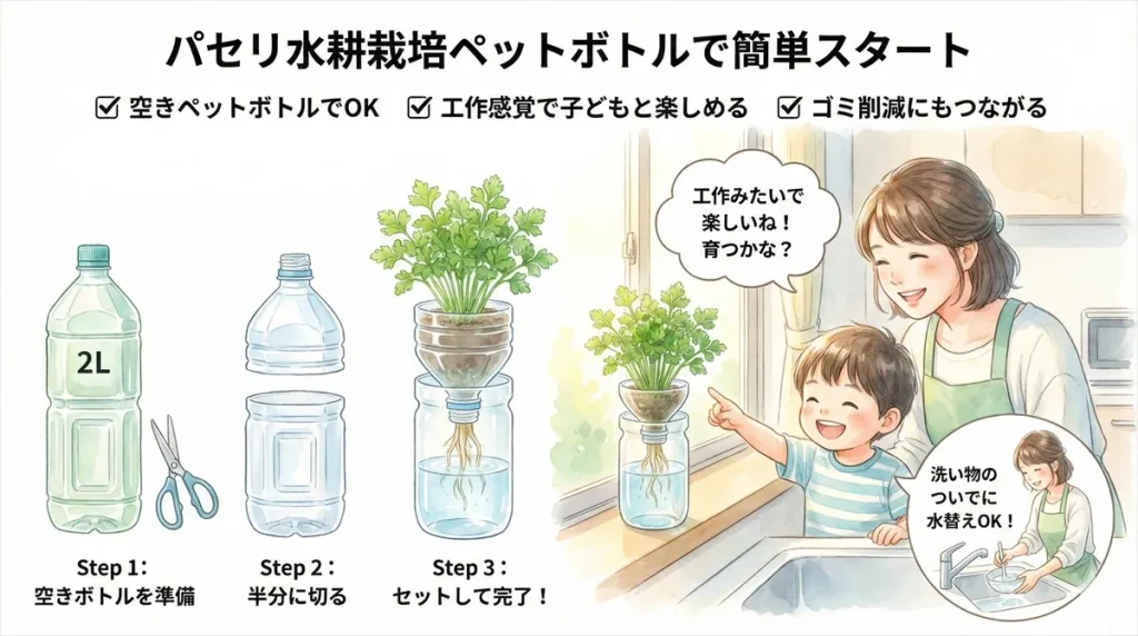 パセリ水耕栽培ペットボトルで簡単スタート